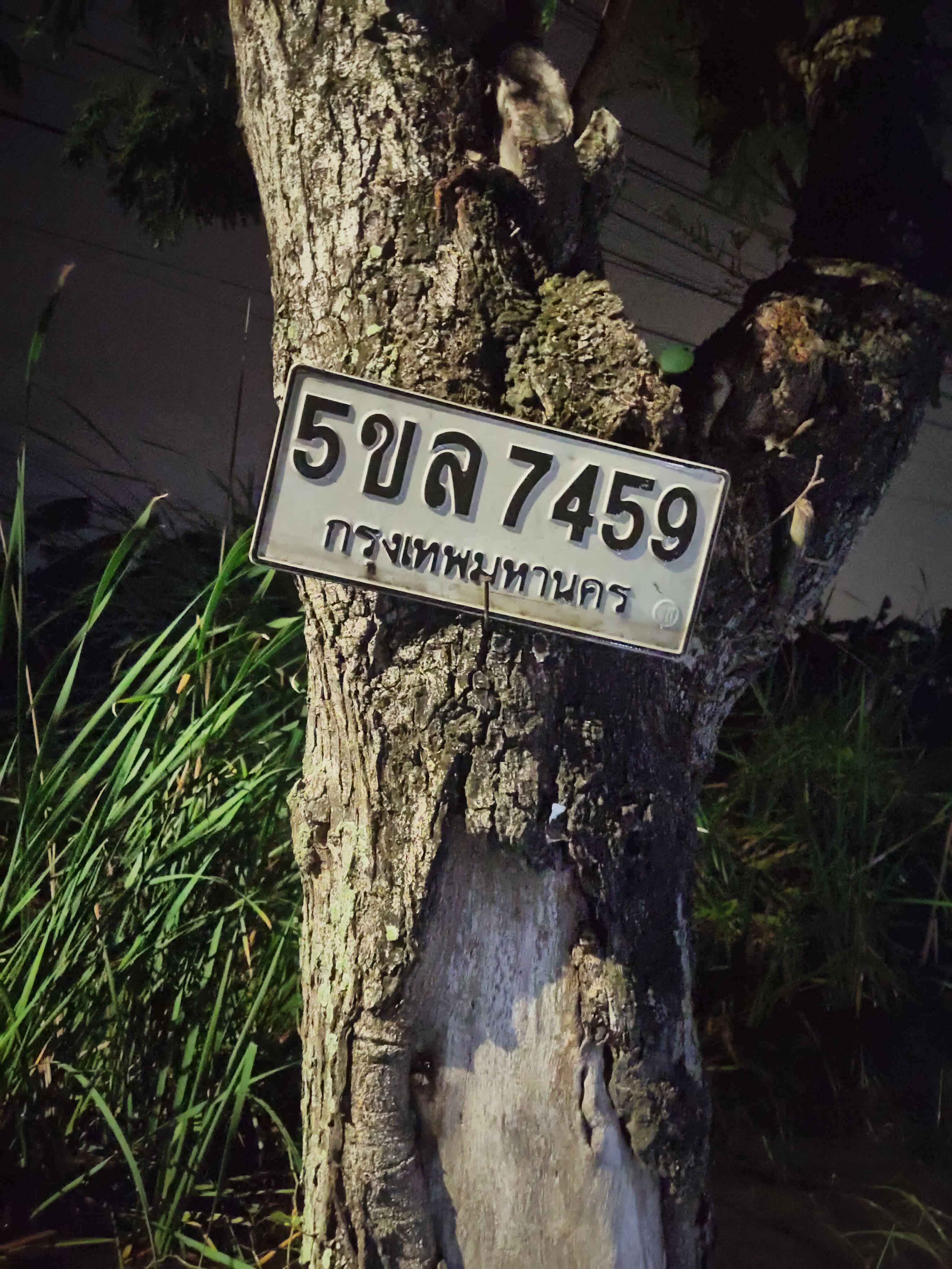 5ขล 7459